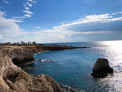 Мобильное приложение TopGuide Cyprus - ЧТО ЦВЕТЁТ НА КИПРЕ ВЕСНОЙ?  🌸🌸🌸🌸🌸 Весна на Кипре — идеальное время насладиться цветущим и  утопающим в зелени островом 😍 На что же мы любуемся весной? Давайте