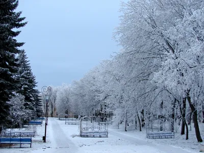 Кисловодск фото зимой фотографии