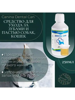 Особенности реабилитации животных после операции | Ветеринарный центр  \"ВетПрофАльянс\" г. Чехов