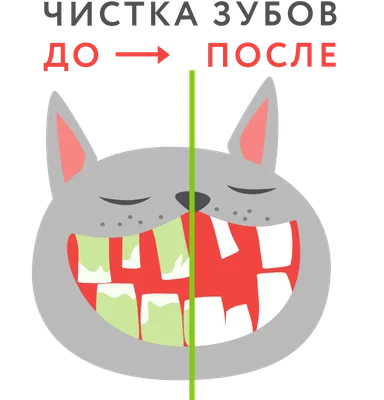 Пародонтит у собак: симптомы и лечение | Hill's