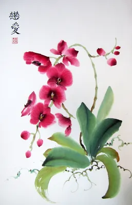 ZION.rus - 🌸Немного из истории орхидей 🌸#хочувсезнать . История этого  чудесного цветка началась в «конфуцианском» Китае 🇨🇳 и на данный момент  насчитывает много веков. Название орхидеи на китайском языке пишется в виде
