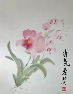 орхидея « Школа живописи У-Cин