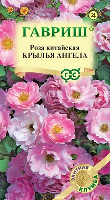 Купить семена Розы Крылья Ангела по Лучшей цене у нас в магазине