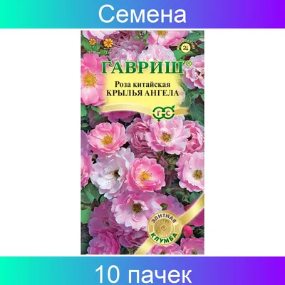 Семена роза Гавриш Крылья ангела 10000024 1 уп. - купить в Москве, цены на  Мегамаркет