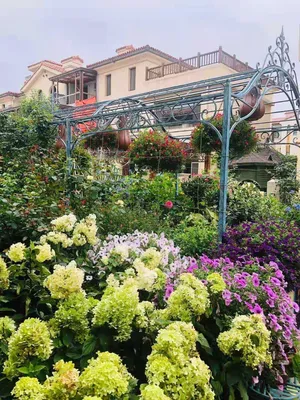 Железная уличная садовая декорация для двора, коридора, китайская роза,  решетка для растений, арка, павильон, большая подставка для цветов |  AliExpress
