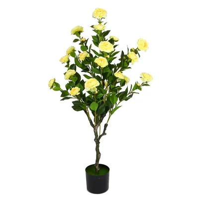 Вазон китайская роза желтая: 1 000 грн. - Комнатные растения Одесса на Olx