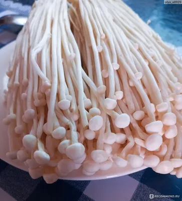 Грибы Эноки (зимний опенок, енокитаке, еноки) - «Популярные китайские грибы  Эноки, их польза для организма и полезные свойства. С чем есть, как  приготовить» | отзывы