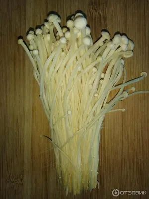 Отзыв о Грибы свежие Шуан хе \"Эноки\" | Мои любимые славные мини-грибочки в  Китае.