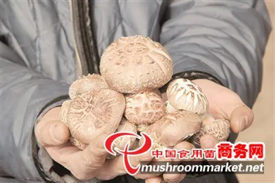 russian по низкой цене! russian с фотографиями, картинки на китайский  черный грибы фотографии.alibaba.com