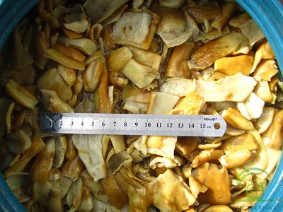 Китайские маринованные грибы шиитаки острые ,250 г. — купить в  интернет-магазине по низкой цене на Яндекс Маркете