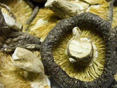Как приготовить древесные грибы? | Ресторан Гонконг