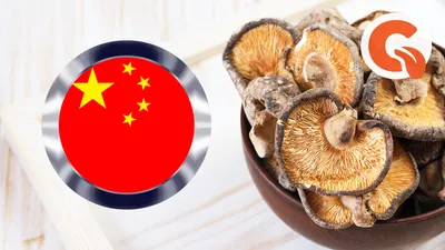 Консервированные грибы эноки Yumart, Китай, 400 г купить, отзывы, фото,  доставка - Совместные покупки Город Друзей - цены как для друга!