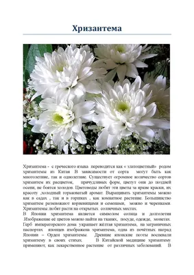 771e9-100_7621.jpg