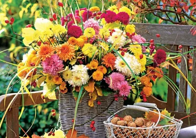 О том, как выбрать зимние хризантемы читайте на сайте Premium-flowers