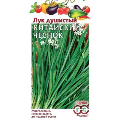 Семена Лук Душистый Китайский Чеснок (а/ф Семена Алтая) купить за 40 р. в  садовом центре АСТ Медовое