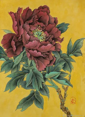 Коллекция картинок: Китайские пионы | Flower art, Japanese art prints,  Peony painting