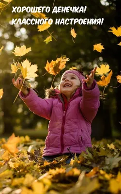Картинки с надписями. Хорошего денечка! Классного настроения!. | Autumn  photography portrait, Autumn photography, Fall photoshoot