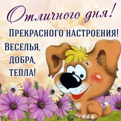 Картинка для прекрасного настроения с цветочками - поздравляйте бесплатно  на otkritochka.net