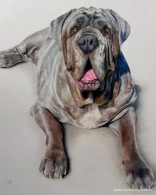 Рисунок карандашом :: красивые картинки :: девушка :: карандашом :: art  (арт) / картинки, гифки, прикольные комиксы, интересные статьи по теме.