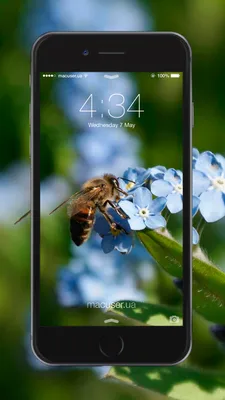 Классный чехол для iPhone 7 Plus с пончиками, напечатанные на прозрачном  силиконе — купить в интернет магазине | Цена | Киев, Одесса, Харьков, Днепр