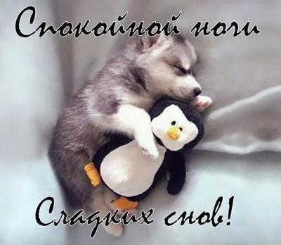 Открытки спокойной ночи