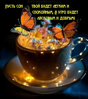Сонные сказки. Спокойной ночи. Сказки, которые помогут быстро уснуть и  сладко спать купить книгу с доставкой по цене 205 руб. в интернет магазине  | Издательство Clever