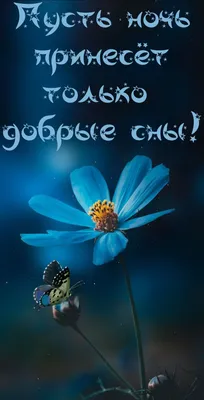 Доброй Ночи! Самое красивое пожелание спокойной ночи✨сладких снов!  Музыкальная видео открытка! - YouTube