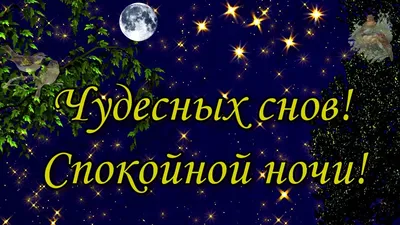 Необычные открытки \"Спокойной ночи!\" (333 шт.)