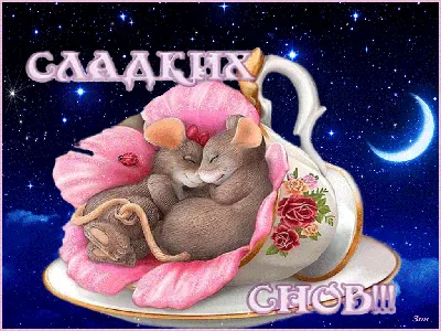 Чудесных снов! Спокойной ночи! - YouTube