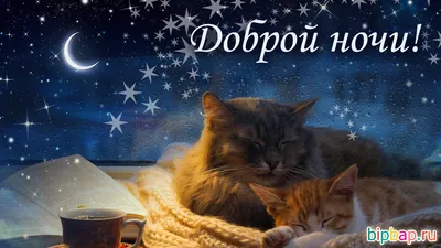Красивые картинки \"Спокойной ночи!\" (743 шт.)