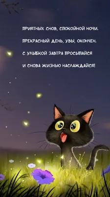 Спокойной ночи картинки - как пожелать сладких снов — УНИАН