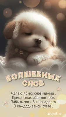 Прикольные картинки Спокойной ночи! - скачать бесплатно (57 шт.)
