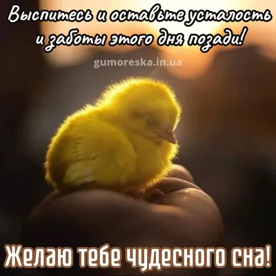 Доброй ночи картинки красивые необычные (92 лучших фото)