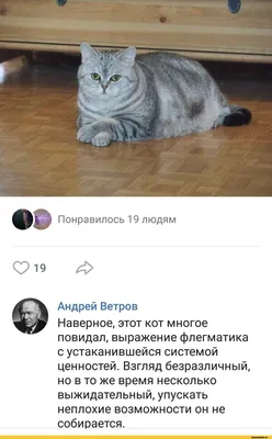 Заходи, у нас тут приколы про школу - https://vk.com/gods_humor | Классный  юмор | ВКонтакте