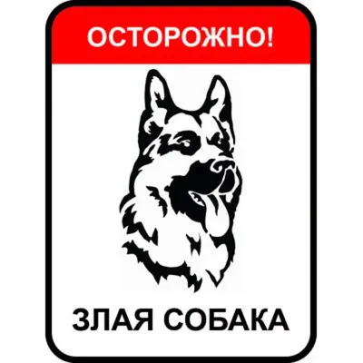 Знак «Осторожно злая собака» - купить по выгодной цене на KALOMBO.RU