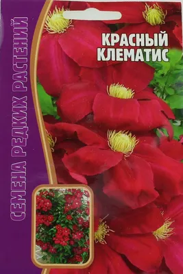 Клематис Красный 3 шт. купить оптом в Томске по цене 50,61 руб.