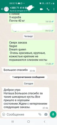Изображение Клематиса летнего снега в качестве фона экрана