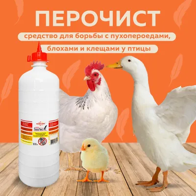 ПероЧист — лучшее средство для защиты птиц!