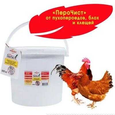 ПероЧист средство от паразитов у Птиц Куриц, Уток, Гусей, Индюков,  Перепелов. против пухоедов пероедов блох клещей и вшей,5000 мл. - купить с  доставкой по выгодным ценам в интернет-магазине OZON (721134629)