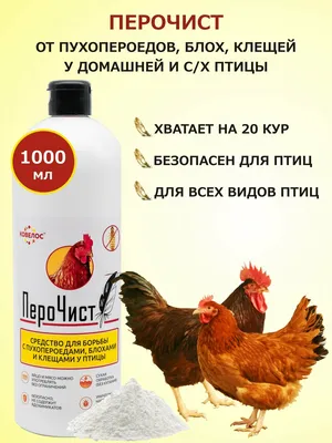 Amazon.com: Паразиты кур и эффективность отдельных антгельминтиков в Мбеере  (Russian Edition): 9786204179629: Чеге, Ханна: Books