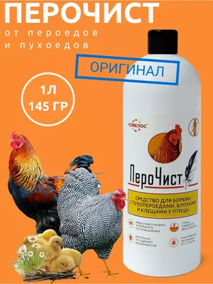 ПероЧист средство от паразитов у Птиц (Куриц, Уток, Гусей, Индюков,  Перепелов и т. д) против пухоедов, пероедов, блох, клещей и вшей, 1000 мл,  (2 шт) — купить по низкой цене на Яндекс Маркете