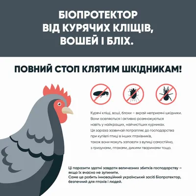 Мелкие клещи на балконе. | НАСЕКОМУС