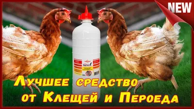 Купить Биопротектор 30 мл от куриных блох, клещей и вшей: спрей по лучшей  цене, эффективное средство 2023 г, отзывы