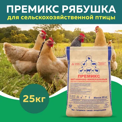 Обработка курятника от клещей и прочих вредителей