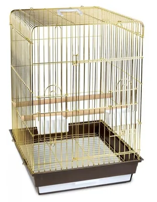 Клетка 350G для птиц круглая , золото, d350*330мм, Triol купить оптом в  Москве | AMMA