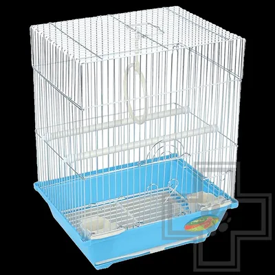 Клетка для попугаев и других маленьких птиц Лори Ретро цинк | Купить в  зоомагазине murchyk.com.ua