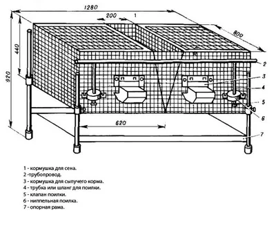 Клетка для кроликов своими руками (75 фото) - чертежи, размеры, пошаговая  инструкция