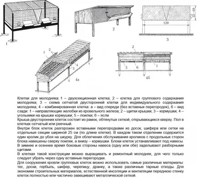 Мини ферма михайлова для кроликов - чертежи и конструкция | Клетки для  кроликов, Клетка для кролика, Мини ферма