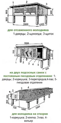 Промышленные клетки для кроликов: обзор, чертежи, размеры