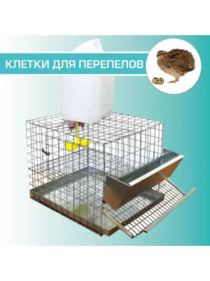 Клетка для перепелов Cimuka Comfortplast 3 секции 1 ярус 98x60x59 см  пластиковая без яйцесборника (GL25-03-1K) купить в Москве